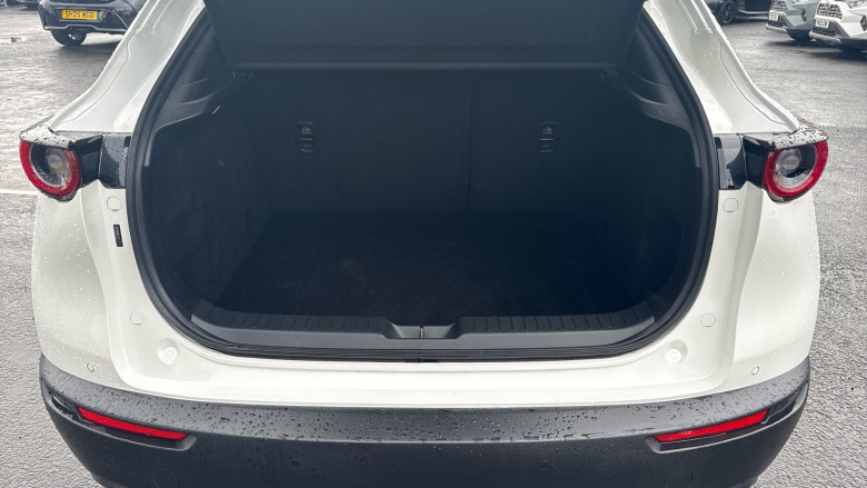 Mazda CX-30 2.5 e-Skyactiv G MHEV [140] Exclusive-Line 5dr Petrol Hatchback